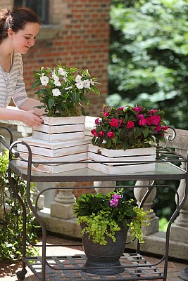Product_Photography_Charlotte_NC-WS-07.jpg